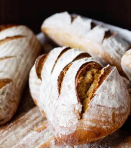 Bakery